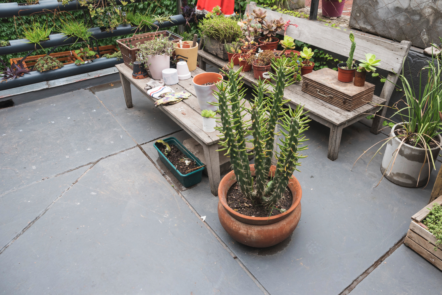 Terrace Garden Waterproofing
